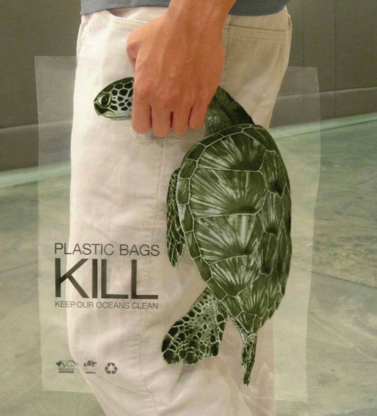 Marketing Birds on X: Plastic bags kill them!