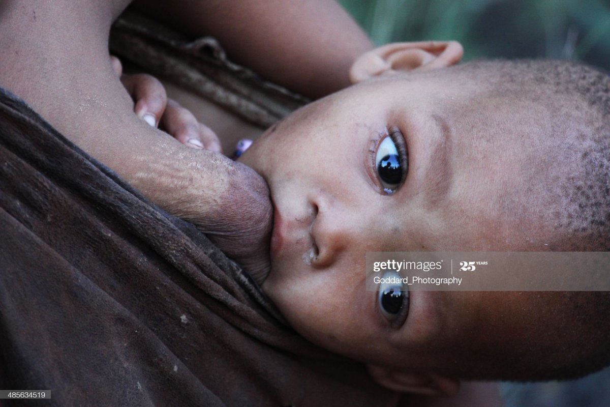 “It is a great pity that such creatures as they be should enjoy so sweet a country. The persons are proportional but their faces like an ape or baboon, with flat noses... and faces both beastly and filthy to behold...” – Ralph Standish, 1612