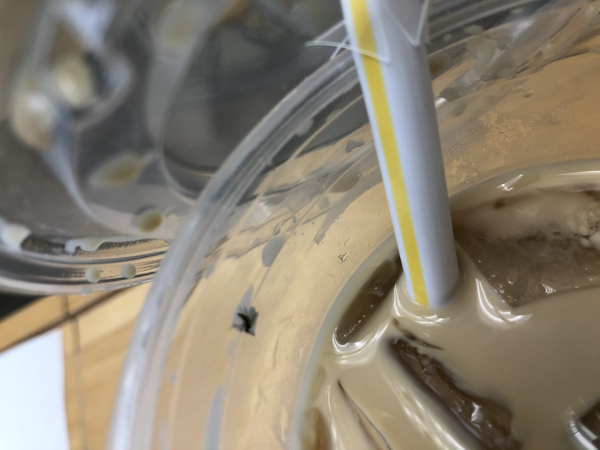 klcarnegie's tweet photo. Shoutout to @McDonalds for giving me an iced coffee with a dead bug stuck on the inside of the cup! Yum!!!!!! I’d like free coffee for a year for this no no a THANK u https://t.co/jKmSy6BAnJ