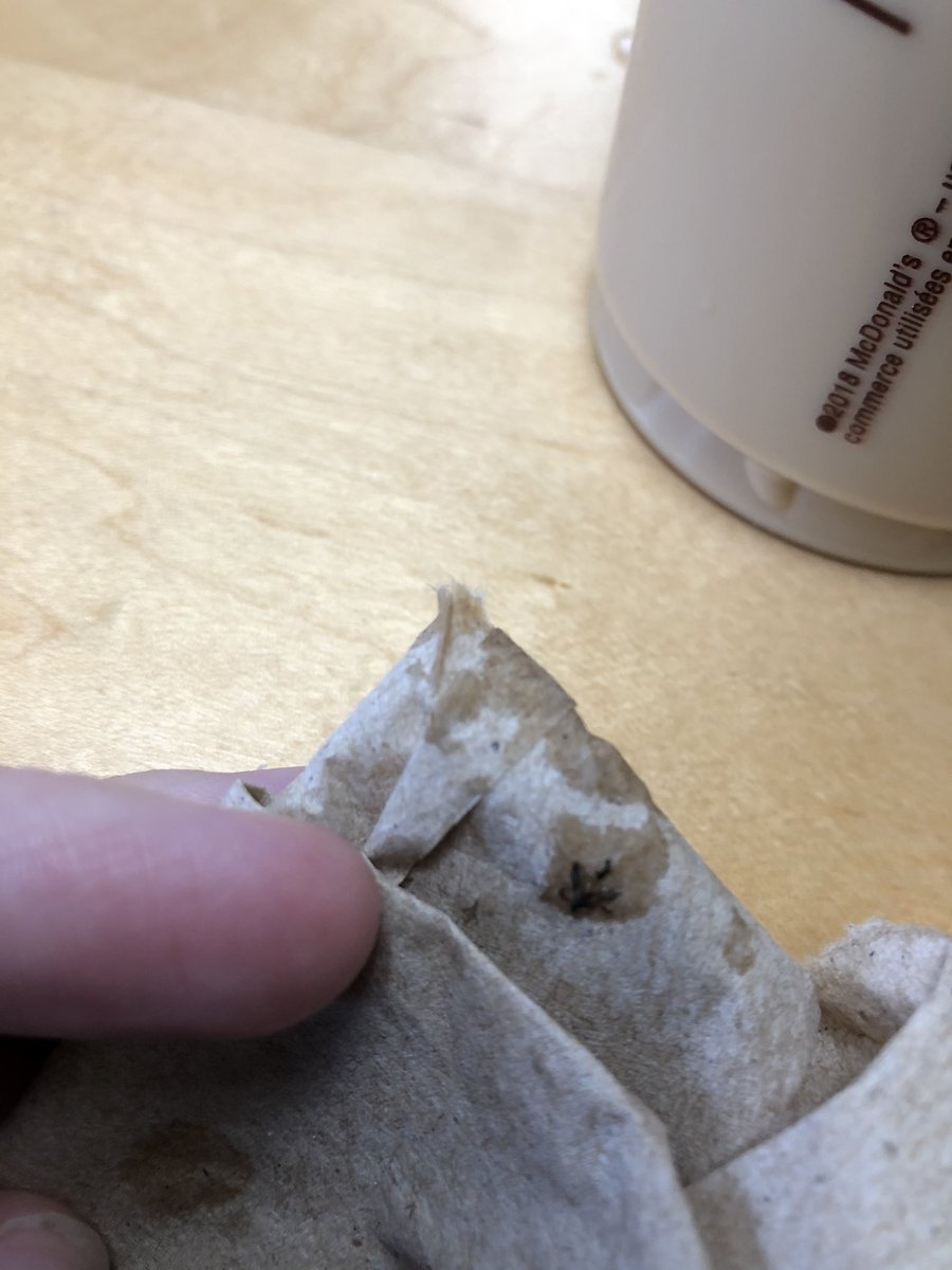 klcarnegie's tweet photo. Shoutout to @McDonalds for giving me an iced coffee with a dead bug stuck on the inside of the cup! Yum!!!!!! I’d like free coffee for a year for this no no a THANK u https://t.co/jKmSy6BAnJ
