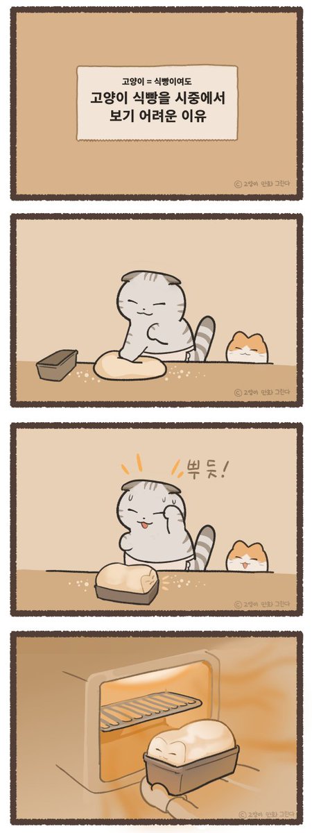 고양이의 식빵자세가 유명해도 고양이식빵을 찾아보기 어려운 이유 