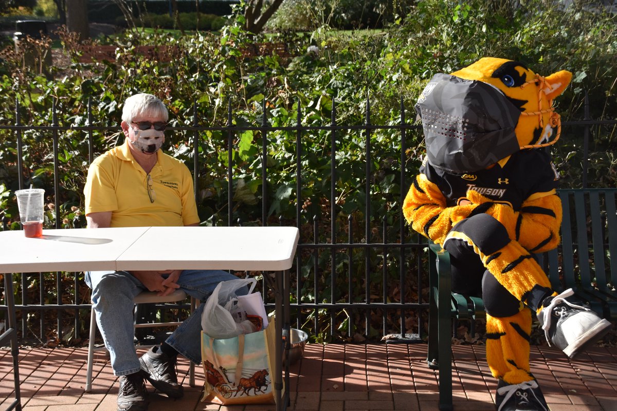 Towson Athletics tweet media