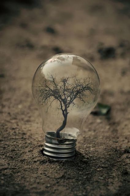 leneshultz's tweet photo. Think green 🍏🌎💚 https://t.co/yF09FEo0Xm