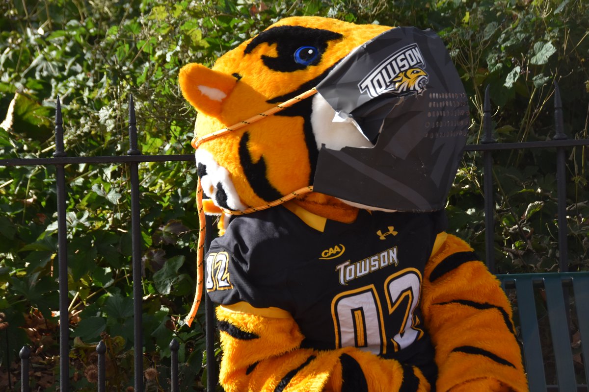 Towson Athletics tweet media