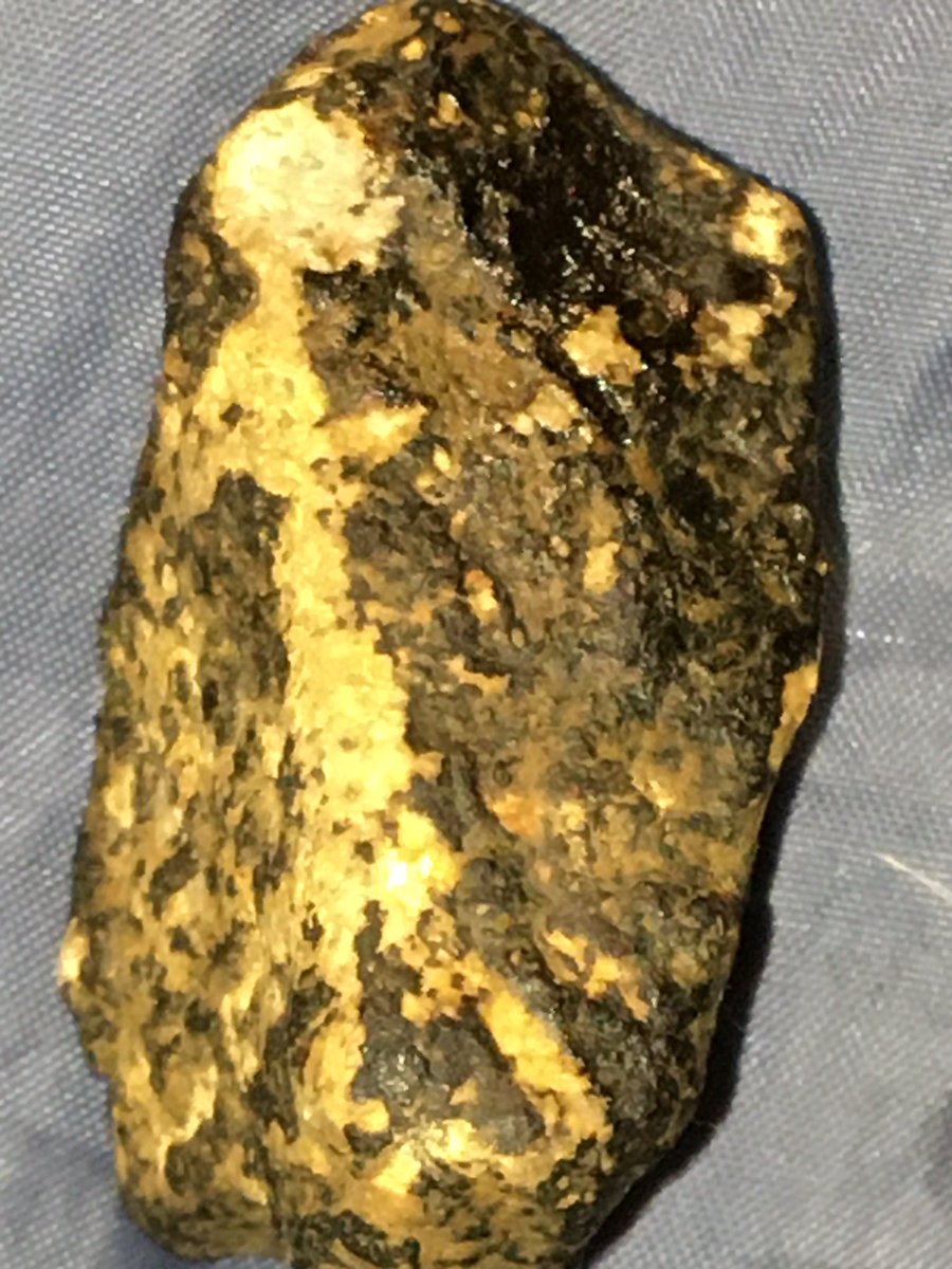 ErikDavis_11's tweet photo. @GlennBlackLab  need some advice on these I’ve dug in my yard https://t.co/rZhvbIpIlU