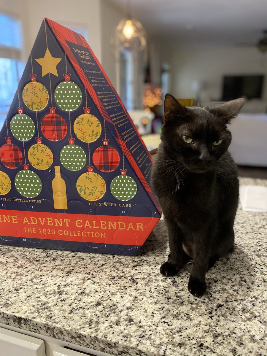 KEditrix's tweet photo. Let’s just say I’m not going to wait until December 1 to open my @AldiUSA wine calendar. #Election2020 ❤️🤍💙 https://t.co/SlimYTKvCi