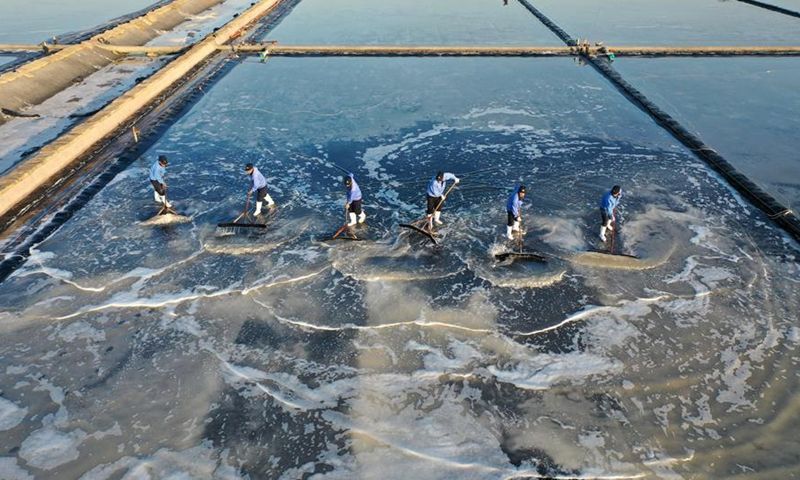 PDChina's tweet photo. In pics: the #salt field in Qingdao, E China's Shandong has recently entered the #harvest season. https://t.co/8bfHGRhVAE