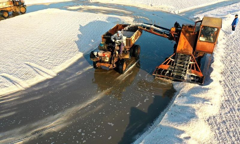 PDChina's tweet photo. In pics: the #salt field in Qingdao, E China's Shandong has recently entered the #harvest season. https://t.co/8bfHGRhVAE