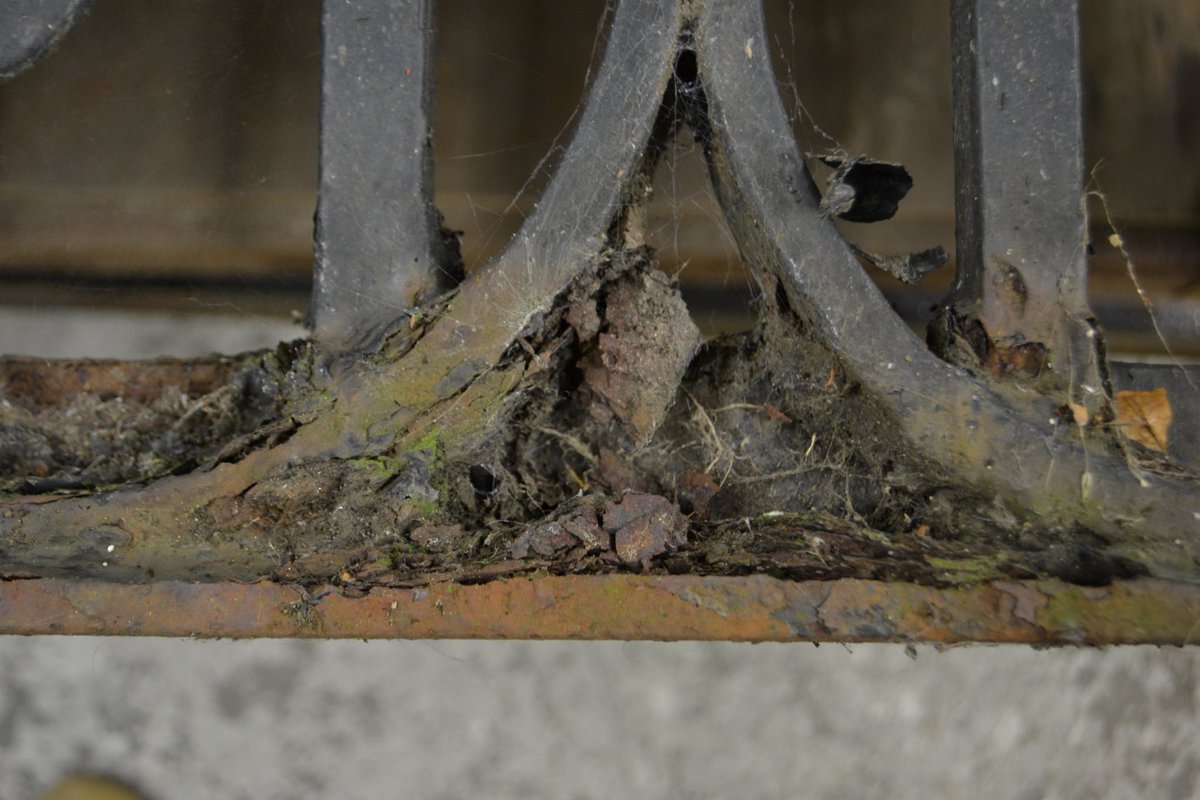 Hall Conservation tweet media