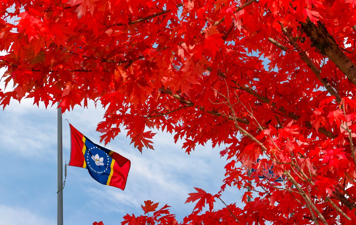 OleMissPix's tweet photo. What a beautiful fall day in the Magnolia State.
#ComeToTheSip
#ComeToOxford
@olemiss @VisitOxfordMS @OxfordMSChamber @OxfordPolice https://t.co/IN1K43IFsZ