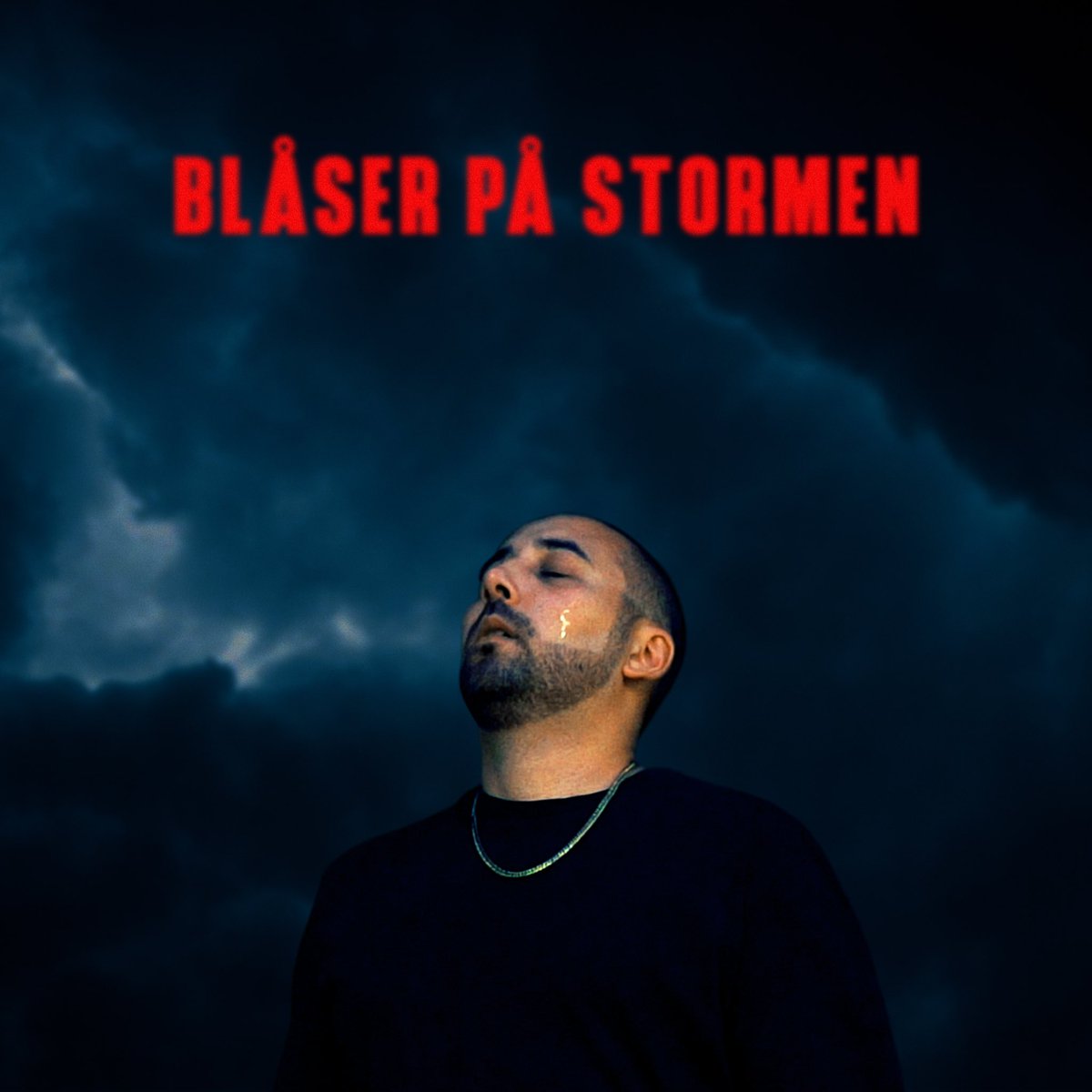 nomadrap's tweet photo. BLÅSER PÅ STORMEN 26:E NOV https://t.co/9vpGdUyvkQ