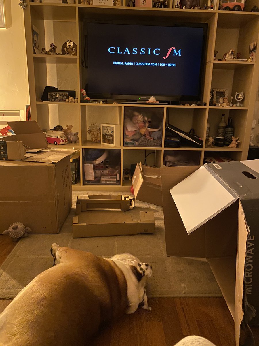 <a href="/ClassicFM/">Classic FM</a> and finally Henry the bulldog sleeps tonight! Even boxes and bubble wrap have only worked to a limited extent this year. Thank you <a href="/billtu/">Bill Turnbull</a> #petsounds soothing voice and music