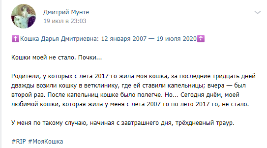 Dimka_from_USSR's tweet photo. @agatacrysty Завидую. Моя кошка, которая жила со мной 10 (десять) лет, в этом чёртовом (мать его, на...) 2020-м покинула меня и моих предков. В июле месяце. Сложно ли без любимого питомца, которого воспитал сам?.. Да, очень. Очень сложно. https://t.co/ws4wD9Wdsv