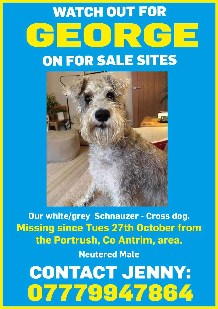 gardainfo's tweet photo. Please help Jenny find George #HeretoHelp

George went missing from his home in Antrim last week. Anyone who spots George where he shouldn't be, should contact his owner on the details below. https://t.co/Msw0TOtK19