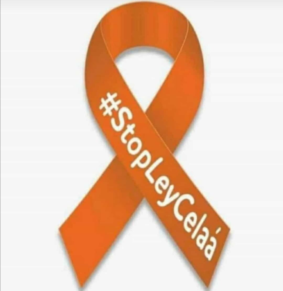 olmospereda's tweet photo. Queremos una enseñanza realmente plural en la que tengamos todos cabida.
#stopLeyCelaá#Masplurales https://t.co/M3Y8oMUXcu