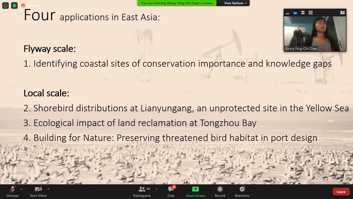 GlobalFlyway's tweet photo. CONGRATULATIONS to @GlobalFlyway scientist Ying-Chi (GINNY) CHAN, PhD student at @univgroningen & @NIOZnieuws, for Best Student paper at 1st East Asian-Australasian Shorebird Science meeting! Ginny talked about applications of satellite tracking. #EAAFSSM #flyway @WaderStudy https://t.co/8KRkIlPPQu