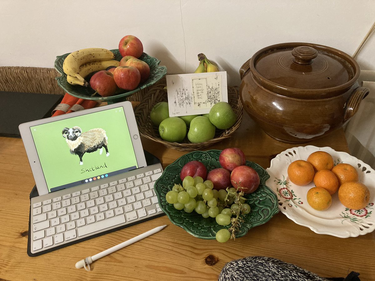 ElspethMurray's tweet photo. Brilliant to receive my @hughcards #thescottishproject card #034thescottisshproject which inspired a kitchen table still life with Shetland sheep. Thank you, Hugh! #penandink #madewithpaper #paperbywetransfer #stilllife #kitchentable #postcard https://t.co/glTtVygAyZ