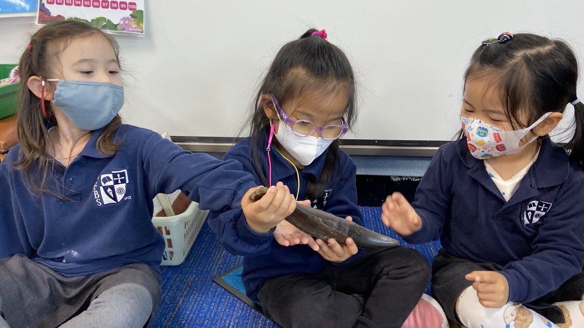KatyFreeman74's tweet photo. If we can’t go to the museum then let’s bring the museum to us! Exploring dinosaur dung and a TRex tooth #dinosaurdetectves #capturingcuriousity @SFBritishSchool @SFS1912 @The_IEYC https://t.co/CC99dUActW