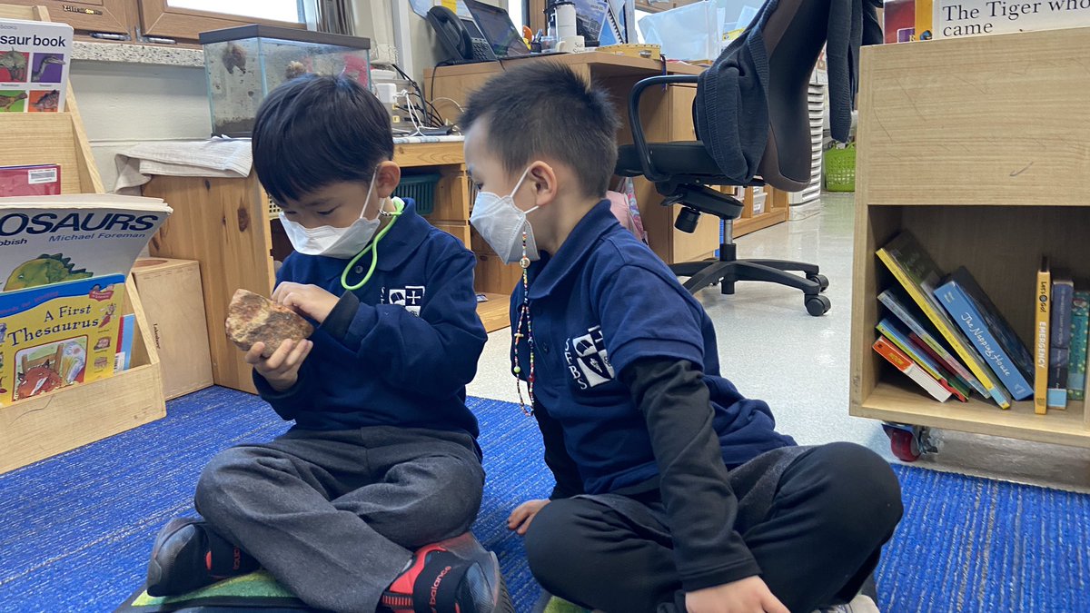 KatyFreeman74's tweet photo. If we can’t go to the museum then let’s bring the museum to us! Exploring dinosaur dung and a TRex tooth #dinosaurdetectves #capturingcuriousity @SFBritishSchool @SFS1912 @The_IEYC https://t.co/CC99dUActW