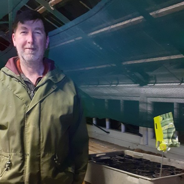 OTCumbria's tweet photo. 'Experimental November sowing of broad beans' Mike Doak is a senior lecturer a the University of Cumbria - supporting OT week  Plant a tree #ChooseOT #UoCOT @OTCumbria @CumbriaOT  Mike Nominates  @emmaspellmanOT @edwina_rushe  @morrisKOT @hooper_ek @OTBelY @KellyFielden https://t.co/59Oe2vozNC