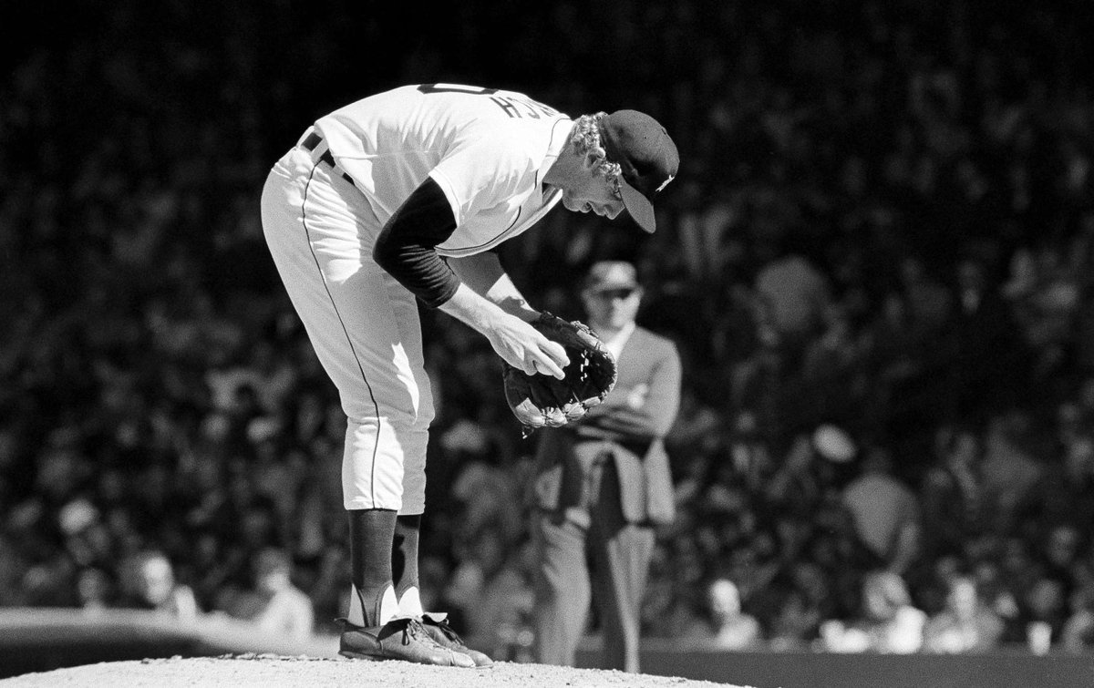tigers tweet picture