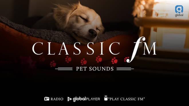 EasyPaws's tweet photo. Tune into @ClassicFM tonight if your 🐶 is anxious about the fireworks! 

They have a special programme until 10pm tonight, and on Saturday 7-9pm, to keep your pets calm and relaxed. https://t.co/5nhI2SHbZU