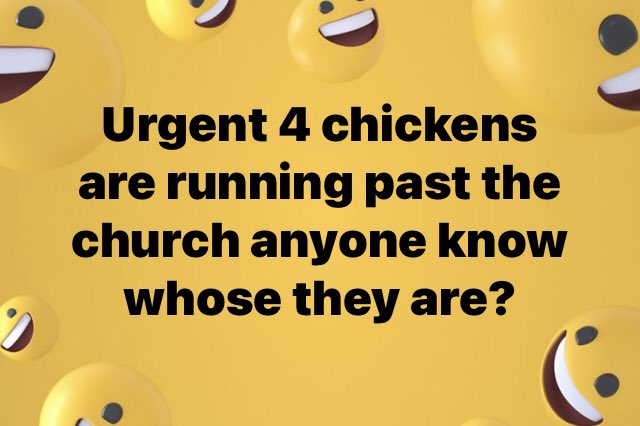 crowmogh's tweet photo. This post on my local village Facebook page just made me really chortle. #cornishproblems #urgent π https://t.co/NPGIKCjn9N