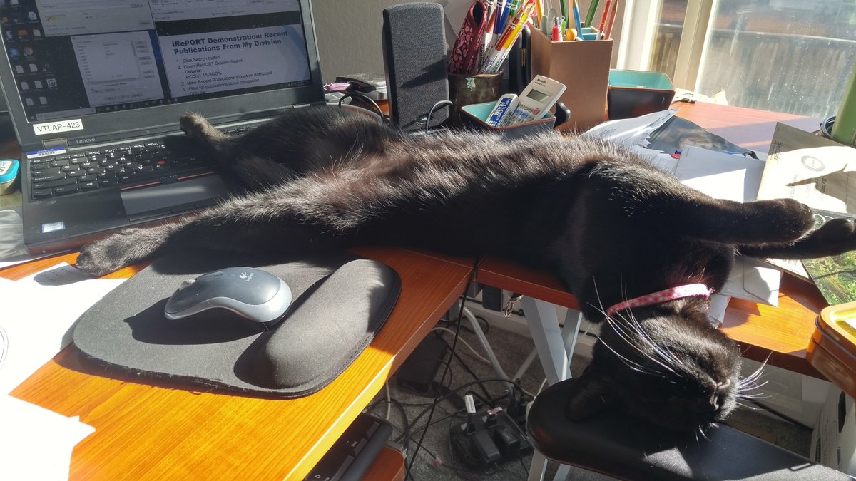 5elementknitr's tweet photo. @seananmcguire https://t.co/bbOUFRMmdW