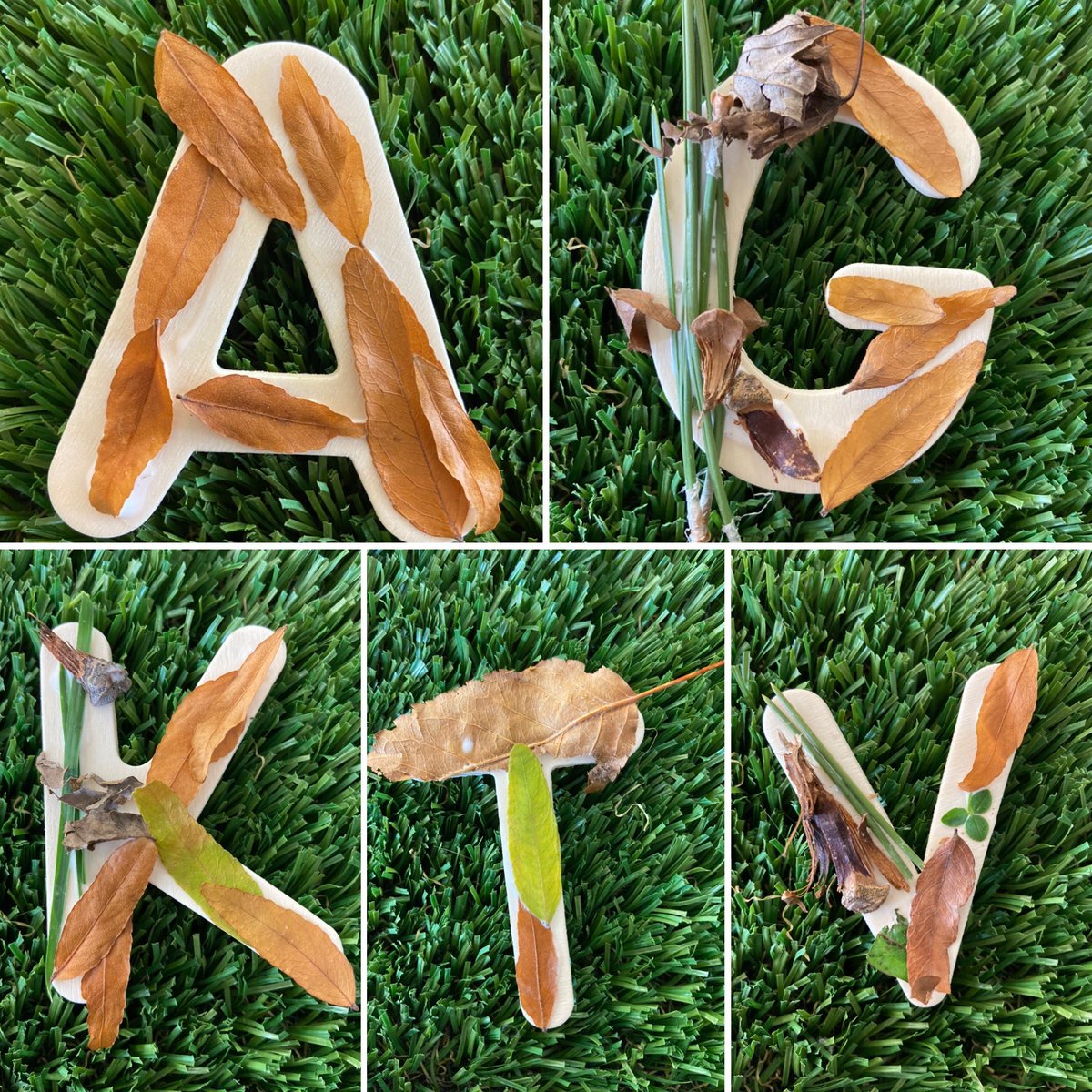 Today we made some letters for our classroom alphabet using different pieces of nature! We worked so hard, and they turned out amazing!! <a href="/SettlersGreenPS/">Settler's Green PS</a> <a href="/MrsHickey3/">Kelly Hickey</a>