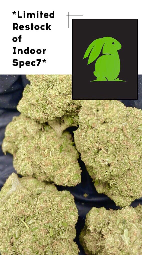 HempHop's tweet photo. Surprise, it’s back!!! 🚀🧀 The Indoor Spec7 has a cheesy, floral smell and taste being a cross of 🌱 Blue Cheese x Landrace Hemp Strain 🌱 These tight, dense nugs pack a punch of relief. 🥊 
.
#hemp #hempflower #hemplife #hempcommunity #cannabis #spec7 #bluecheesestrain #hemphop https://t.co/zFdySHbJDX