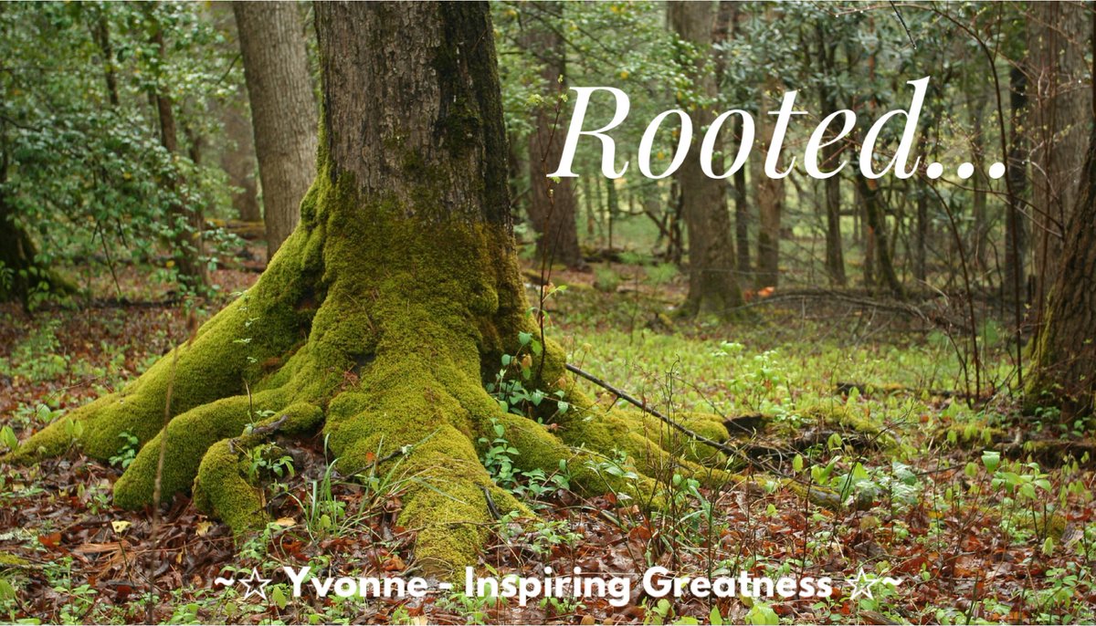 GreatnessInsp's tweet photo. Self-discipline is rooted in your values. When you know what matters most to you, it’s much easier to prioritize your long-term successes and rewards over short term indulgences. 
#selfdiscipline #values https://t.co/XQ97HjTDsO