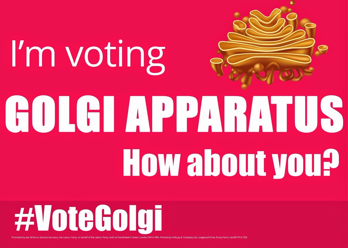 Golgi64081236's tweet photo. The Golgi Apparatus is here! #mey20 https://t.co/KjQeyYMSKD