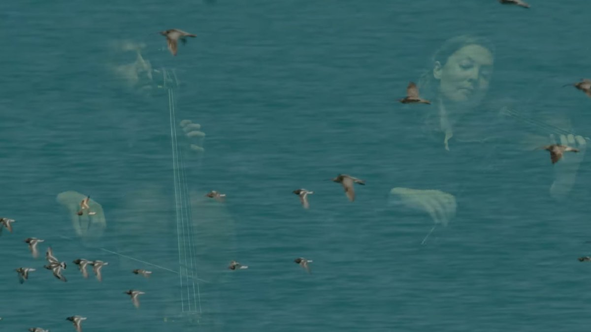 GlobalFlyway's tweet photo. Artist Kate Gorringe-Smith, in plenary at #EAAFSSM, mentioned our book 'Invisible Connections' and reminded us to watch stunning performance of Bowerbird Collective (Simone Slattery & Anthony Albrecht), the online concert for World Migratory Bird Day: https://t.co/EDV1BfnelQ https://t.co/q8yEeKAj31