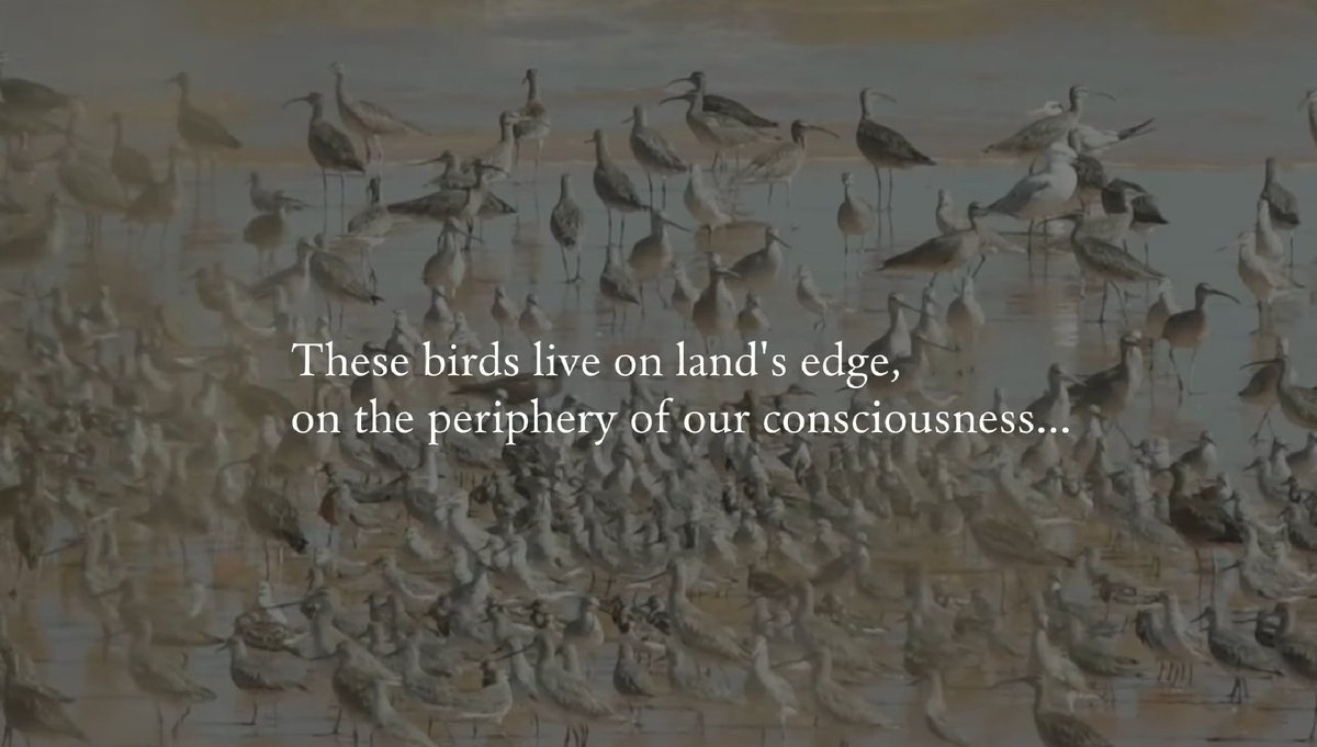 GlobalFlyway's tweet photo. Artist Kate Gorringe-Smith, in plenary at #EAAFSSM, mentioned our book 'Invisible Connections' and reminded us to watch stunning performance of Bowerbird Collective (Simone Slattery & Anthony Albrecht), the online concert for World Migratory Bird Day: https://t.co/EDV1BfnelQ https://t.co/q8yEeKAj31