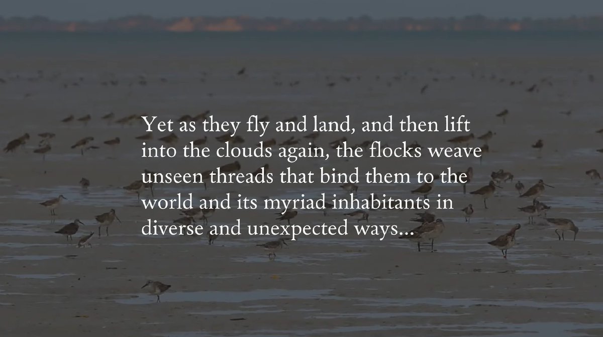 GlobalFlyway's tweet photo. Artist Kate Gorringe-Smith, in plenary at #EAAFSSM, mentioned our book 'Invisible Connections' and reminded us to watch stunning performance of Bowerbird Collective (Simone Slattery & Anthony Albrecht), the online concert for World Migratory Bird Day: https://t.co/EDV1BfnelQ https://t.co/q8yEeKAj31