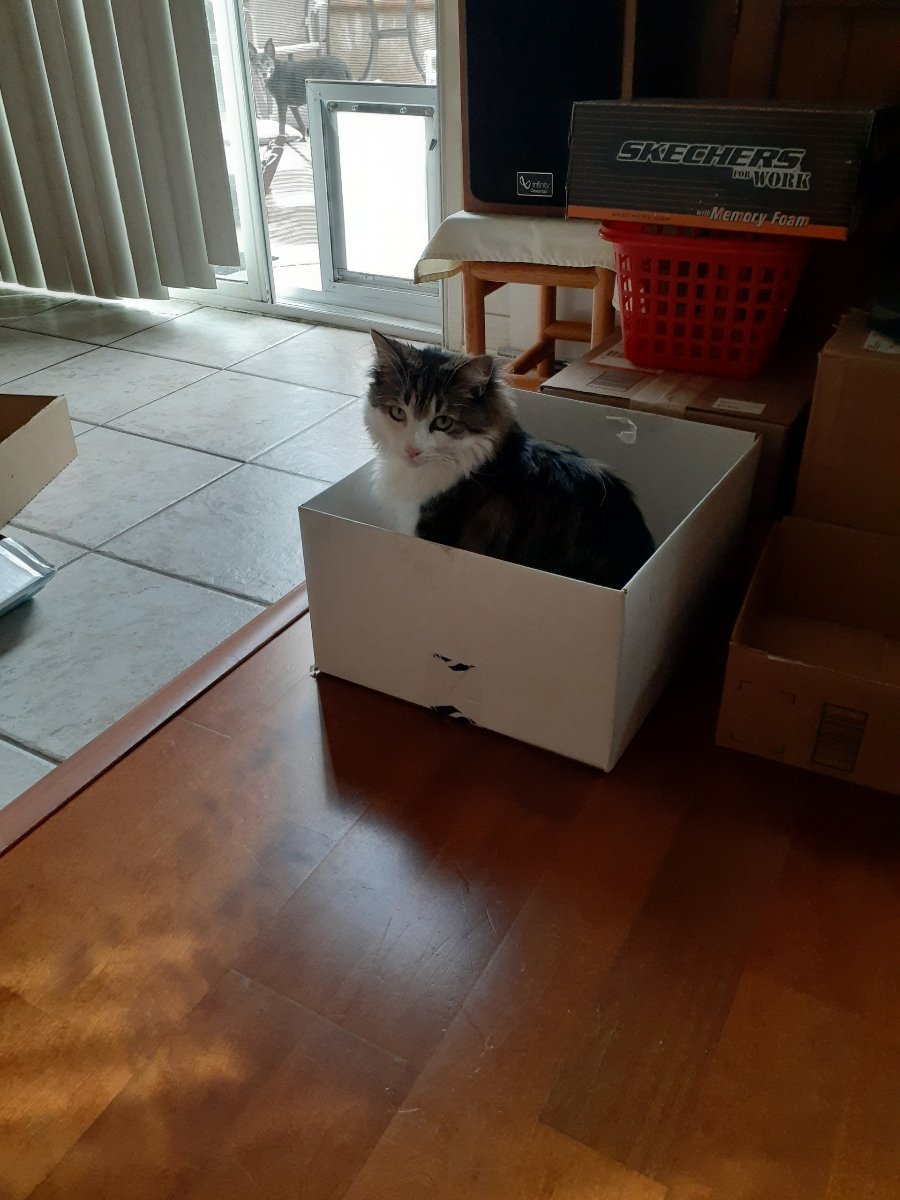 Still the best seat in the house!