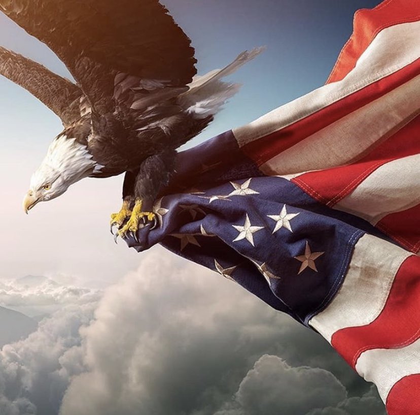 john_pepon's tweet photo. #Patriot #america #2AShallNotBeInfringed # https://t.co/41D1hZCAWh