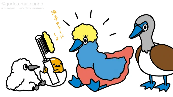 パパママの足めっちゃ派手〜もっと派手にカラーしよ #ぐでたまさんぽ #カリブ海&amp;ガラパゴス諸島 #ガラパゴスアオアシカツオドリ #エクアドルカラー 