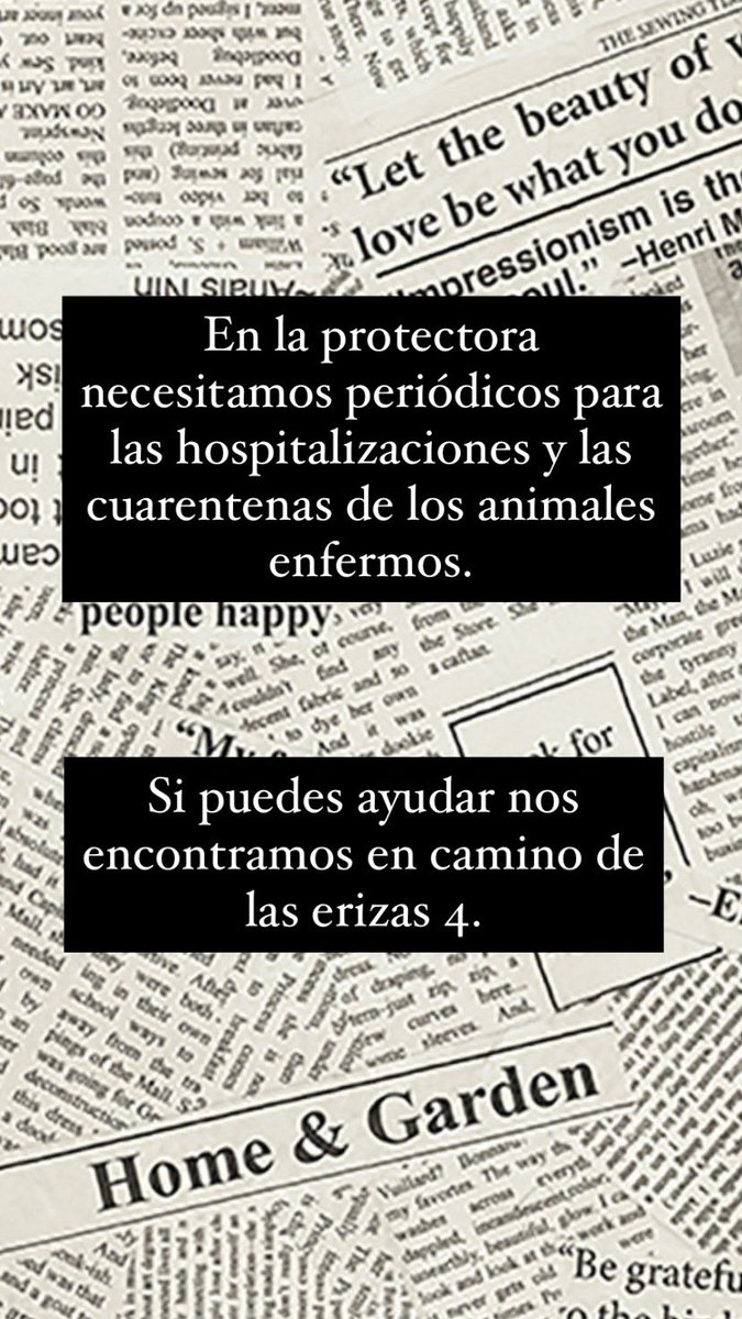 M a r t i ☀️ tweet media