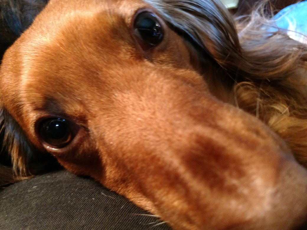 MarsicanoChris's tweet photo. @RubinReport Here's Lui https://t.co/Kas19ou87G