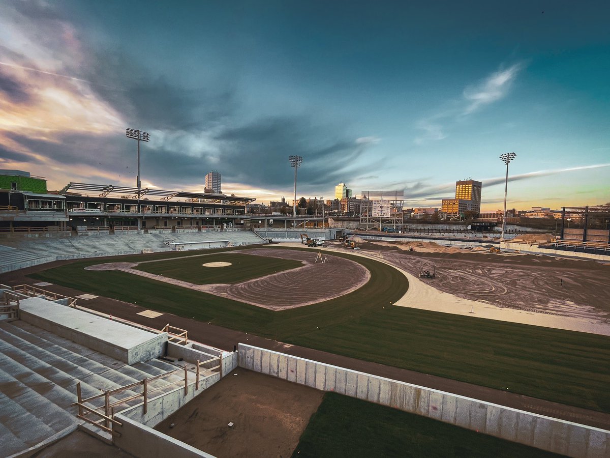 Green grass, golden sky.