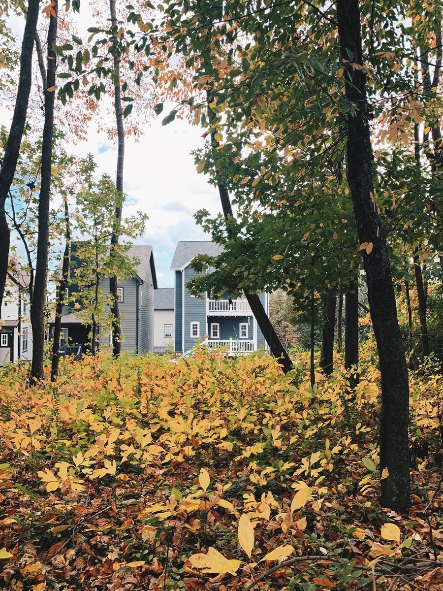 aerialdev's tweet image. Fall is in the air and on the ground at East Greenway Park 🍂.

It's a great time to take advantage of the outdoor amenities and the greenway for some fresh, cool, Nashville air.