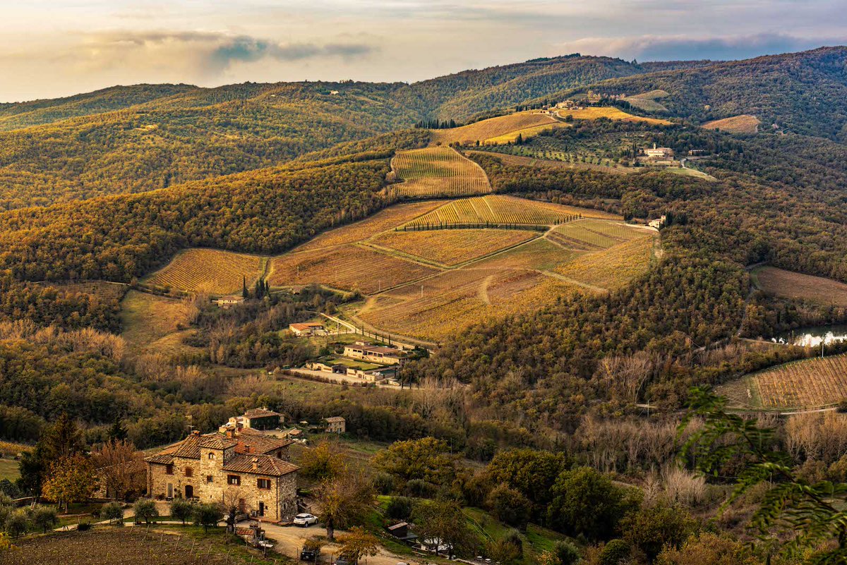VisitTuscany's tweet photo. Radda in Chianti is a medieval hamlet that stands on a rocky spur in the heart of #Chianti. From here you can admire the essence of a unique area, where agriculture has designed the landscape 👉 https://t.co/sxZzF5GsE2

📷  Ramiro Castro Xiques https://t.co/KfA498keKo