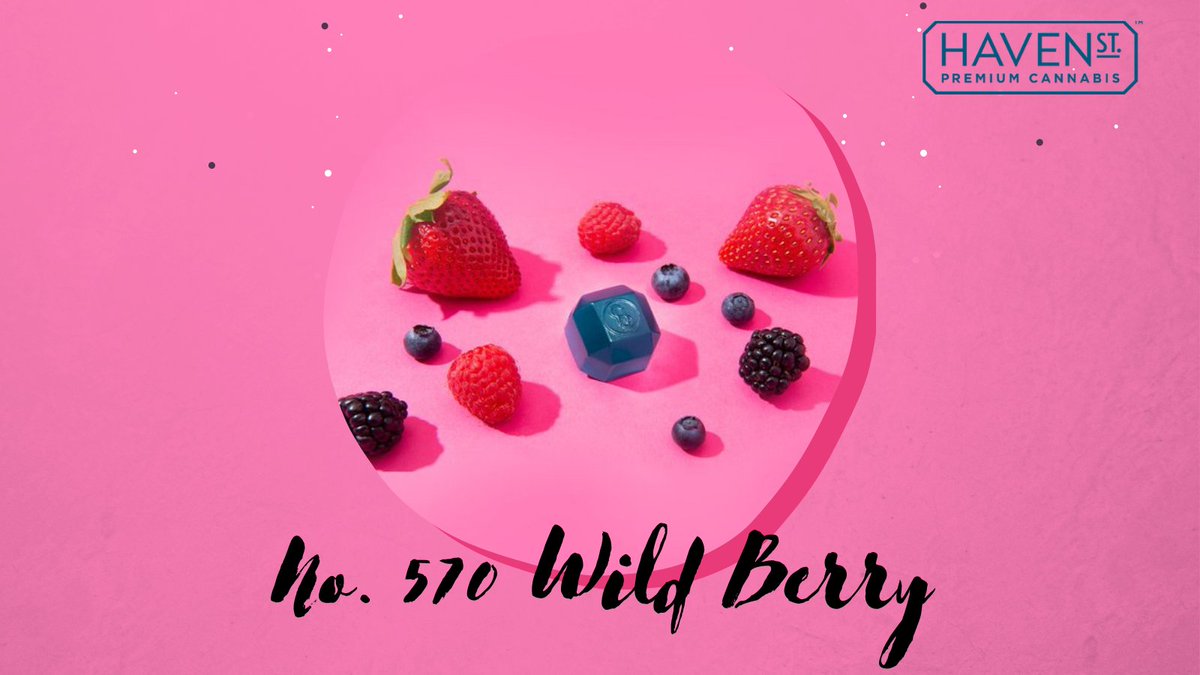 SpiritleafWH's tweet photo. Try out these new #HavenSt #Gummies that use real #terpenes! 😋🍃💎 Sour Watermelon is indica-dominant  and Wild Berry is sativa-dominant. Both 10mg of #THC in one gummy!⁠ 
@ExploreHavenSt  #havenstgummies #explorehavenst #spiritleafwesthillhurst #spiritleafca #cannabis #edible https://t.co/ERpdbQK7ht
