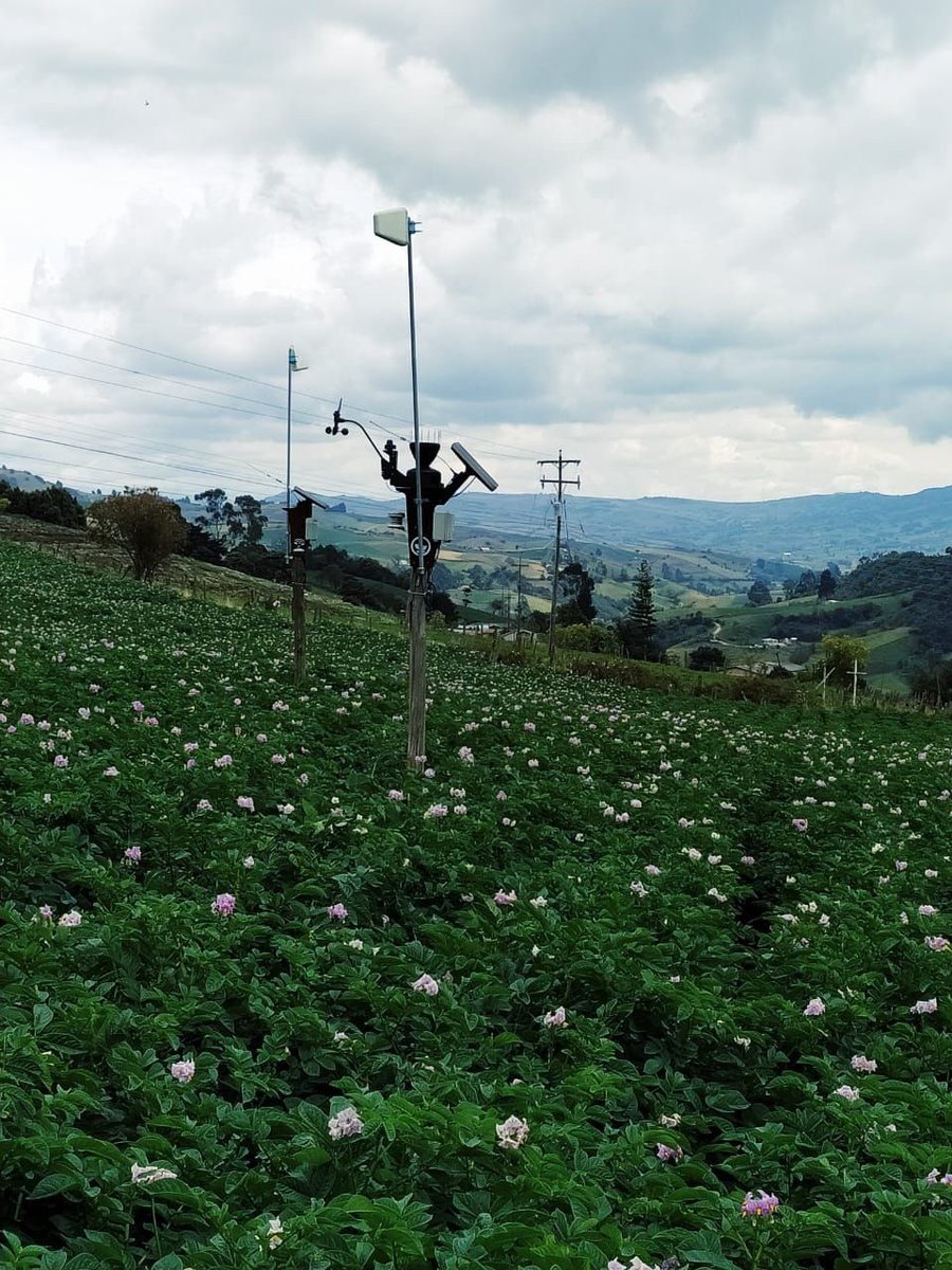 instacrops's tweet photo. In Ventaquemada, Boyacá 🇨🇴 farmers knows how to connect their crops and take better decisions with #Instacrops 👩🏼🌾🍃👨🏻💻
Exceptional harvests are coming! 😬
#spreadingtheseed #internetofplants https://t.co/JTfZgY944s