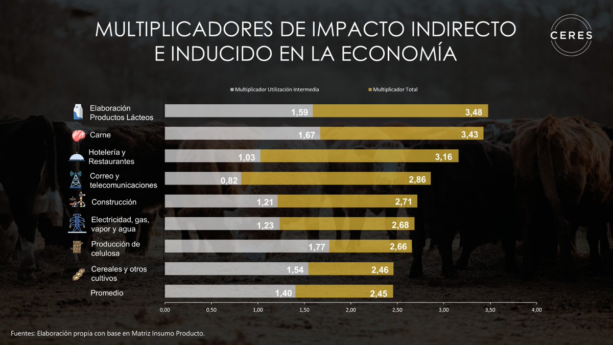 🐄El efecto multiplicador que genera la producción de carne sobre la economía es muy significativo y superior al promedio de la gran mayoría de sectores.
 
Si se duplicara la producción, generaría un aumento acumulado de 10% del PBI.
 
Mirá el informe 👉ceres-uy.org/informes-espec…