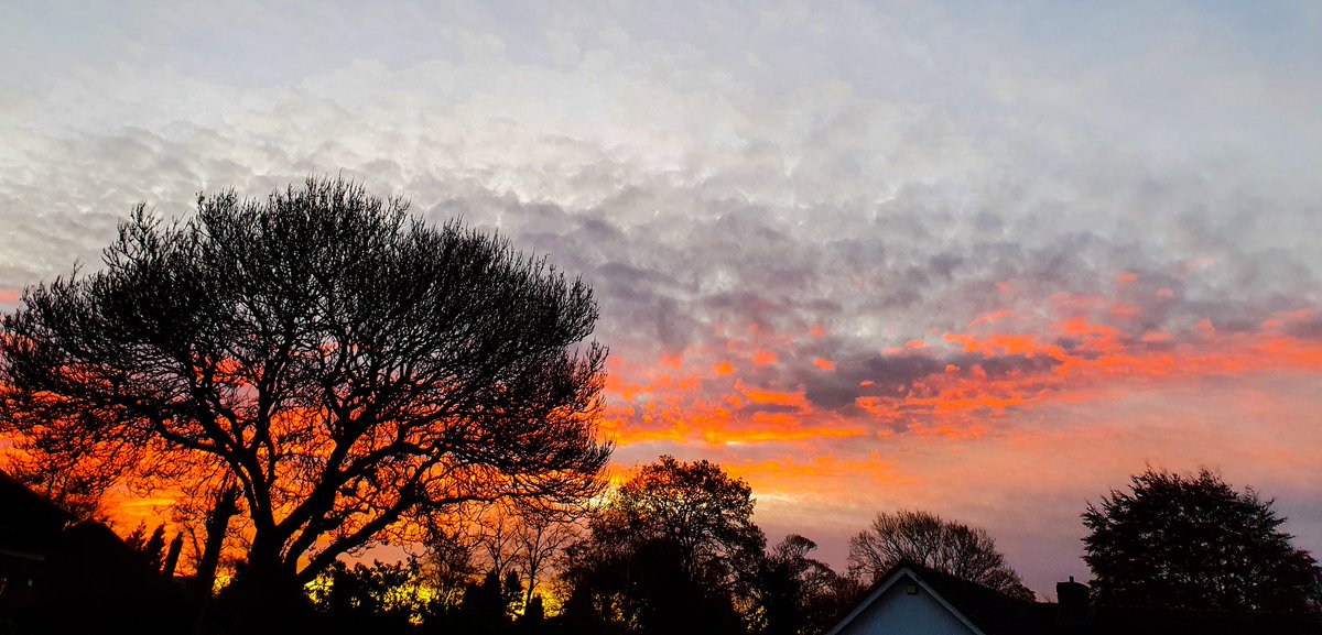 Martin Neylon tweet media