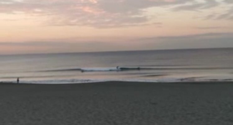 nabe2430's tweet photo. 今朝の鵠沼は晴れ。波はヒザ程度。インサイドのトロ速め。セットでちょっと滑れる位です。 https://t.co/Wc3sZkJVyb