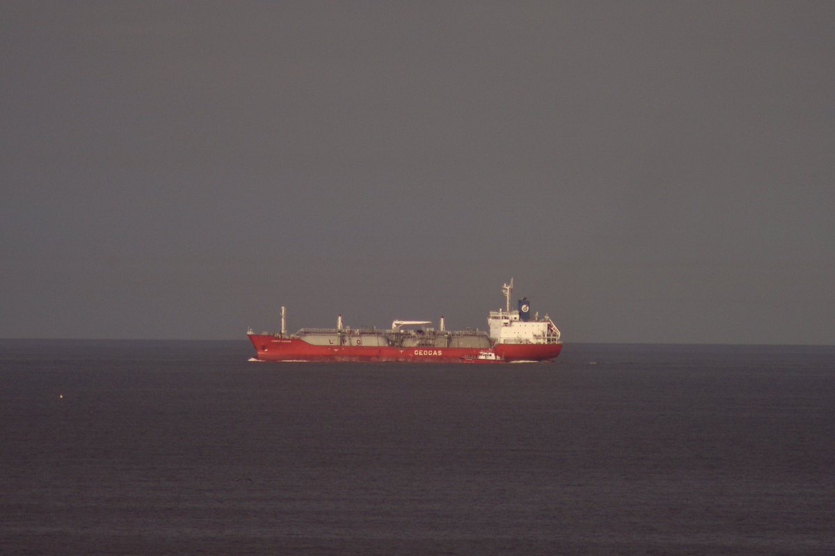 johnmorgan726's tweet photo. GEOGAS / LPG / JOSEPH WISDOM, IMO:9806732 en route to “TPC”? Flying the flag of Panama 🇵🇦 @Themaritimepil2 @BShipspotting #geogas #LPG #ShipsInPics https://t.co/evej1aaxFg