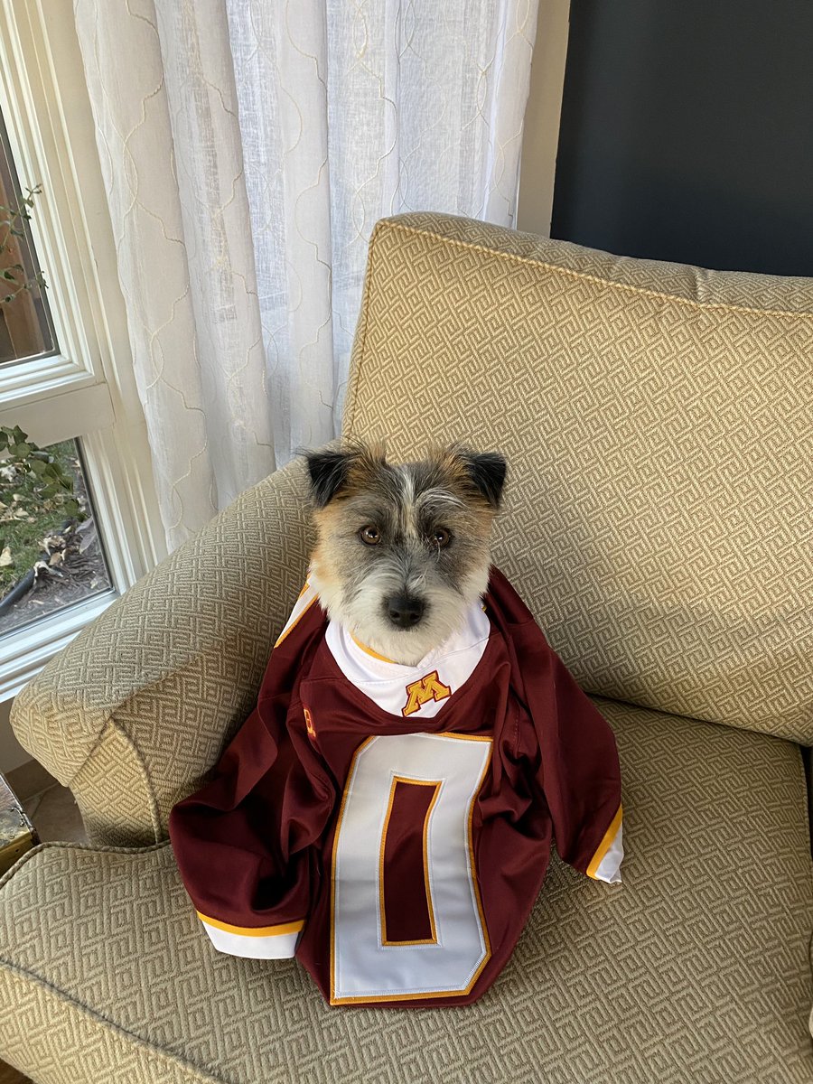 Bugsy_CR's tweet photo. Gopher football is so back, throw your rent, mortgage, 401k, alimony, or last penny on them this weekend! @R_bateman2 our dogs are your biggest fans @GopherFootball https://t.co/FLQ863fcVd